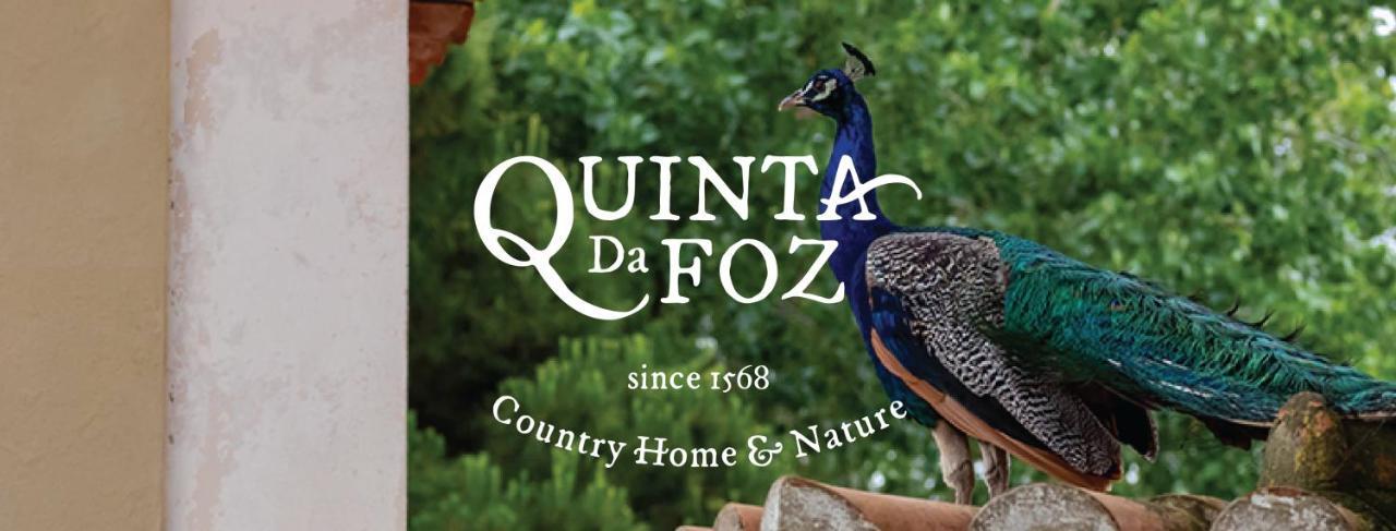 Quinta Da Foz Villa Foz do Arelho Dış mekan fotoğraf