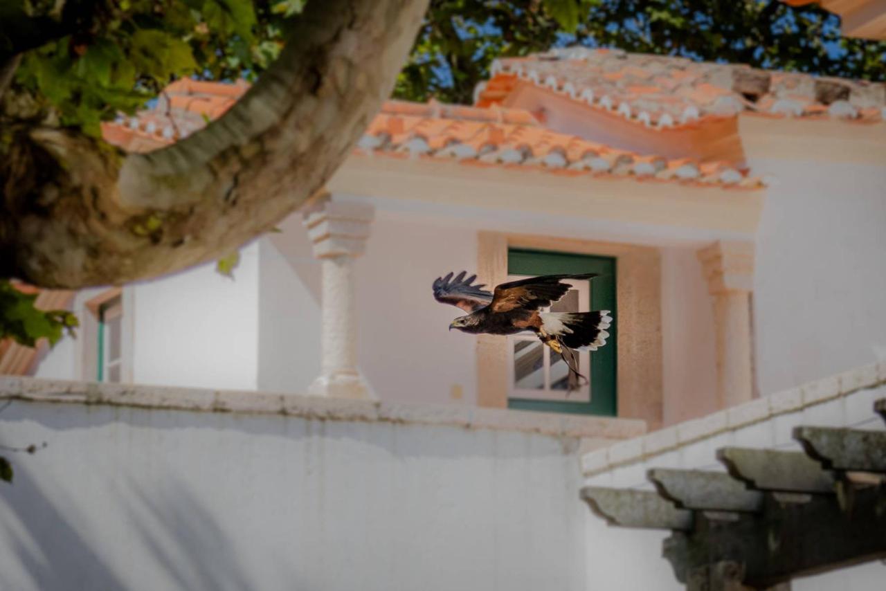 Quinta Da Foz Villa Foz do Arelho Dış mekan fotoğraf