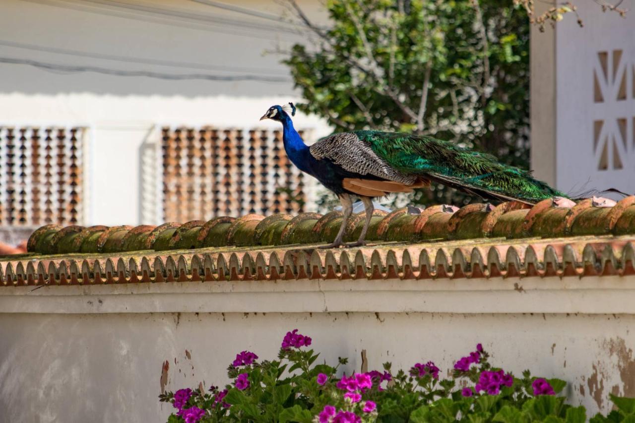 Quinta Da Foz Villa Foz do Arelho Dış mekan fotoğraf